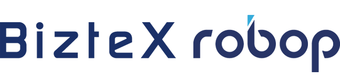 biztex connect logo